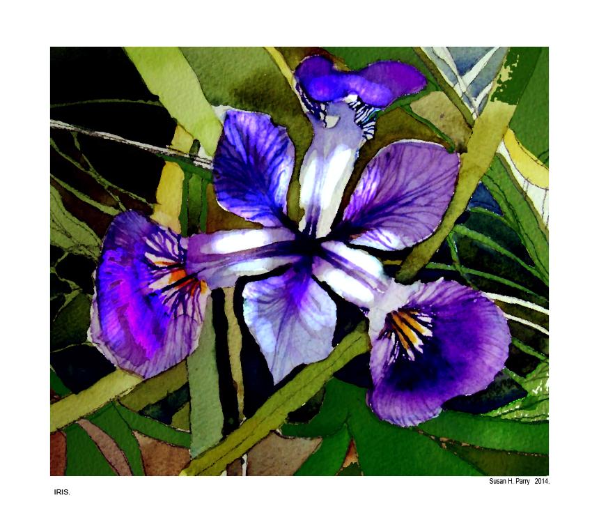 'IRIS'